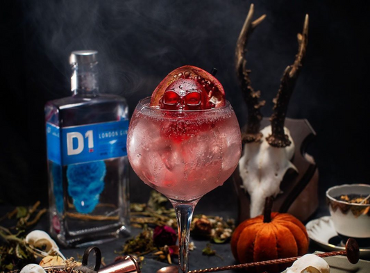 Pomegranate Gin & Tonic Cocktail