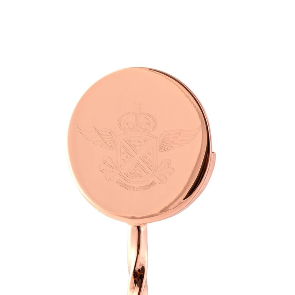 Cocktail Spoon