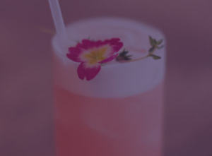 The Pink Donkey Cocktail